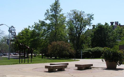 许多校友通过将一棵纪念树献给一位学生来支持十博体育版植物园, 一位教授, 工作人员或亲人.