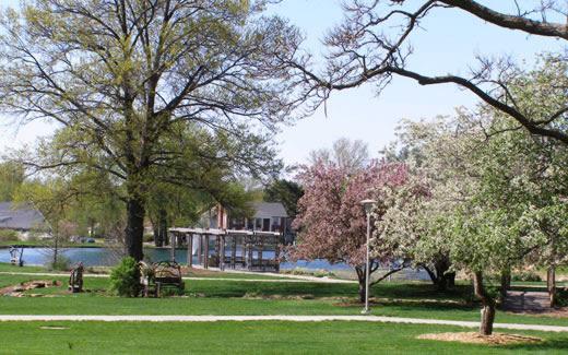 十博体育版一直标榜自己是密苏里州“最美丽的州立大学校园”，这要归功于它绿树成荫的校园景观.