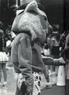 1987年，鲍比在一场西北篮球比赛中帮助宣传学校精神.  1986年到1987年间，鲍比有时会赤膊上阵.